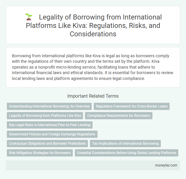 Legality of Borrowing from International Platforms Like Kiva: Regulations, Risks, and Considerations