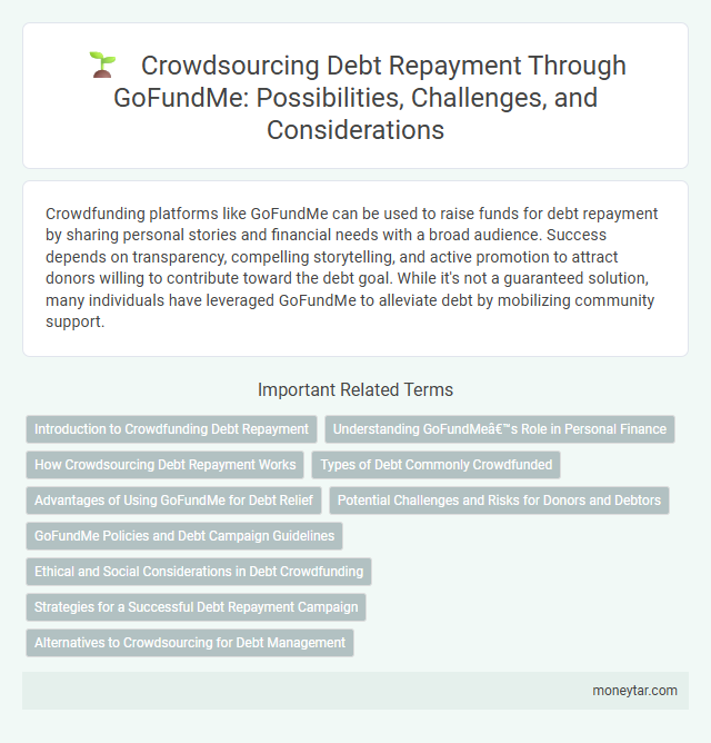 Crowdsourcing Debt Repayment Through GoFundMe: Possibilities, Challenges, and Considerations