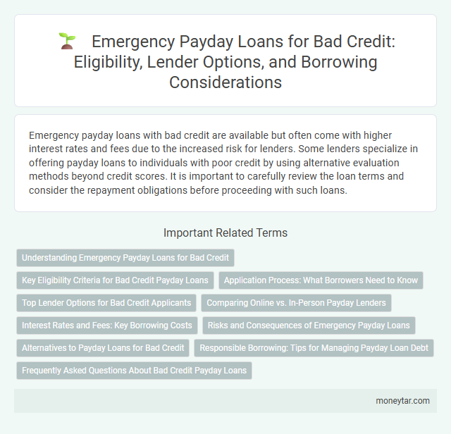 Emergency Payday Loans for Bad Credit: Eligibility, Lender Options, and Borrowing Considerations