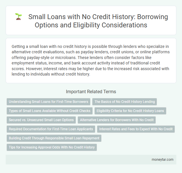Small Loans with No Credit History: Borrowing Options and Eligibility Considerations