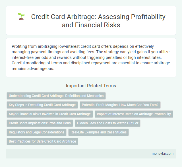 Credit Card Arbitrage: Assessing Profitability and Financial Risks
