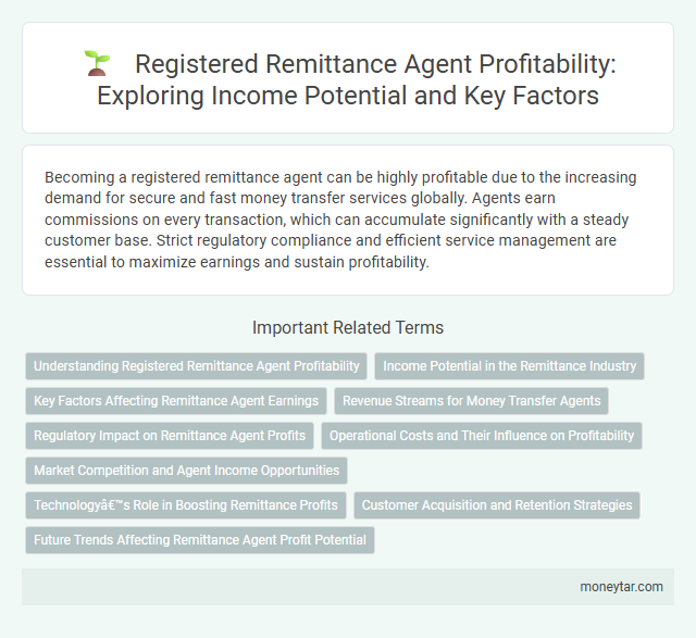 Registered Remittance Agent Profitability: Exploring Income Potential and Key Factors
