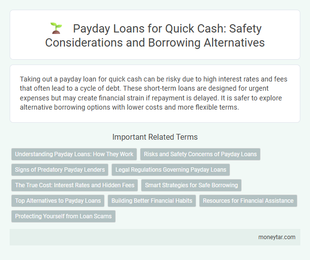 Payday Loans for Quick Cash: Safety Considerations and Borrowing Alternatives