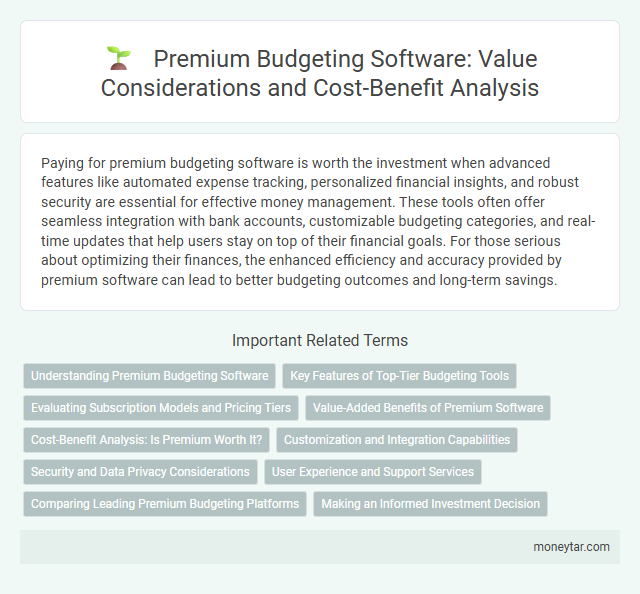 Premium Budgeting Software: Value Considerations and Cost-Benefit Analysis