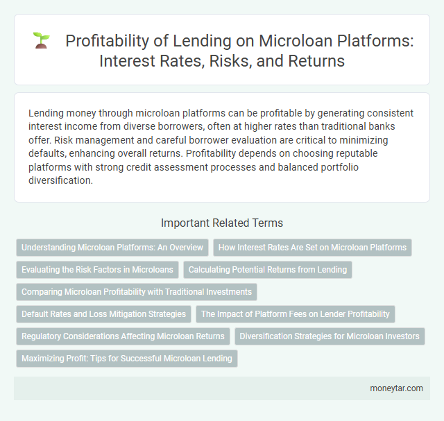 Profitability of Lending on Microloan Platforms: Interest Rates, Risks, and Returns