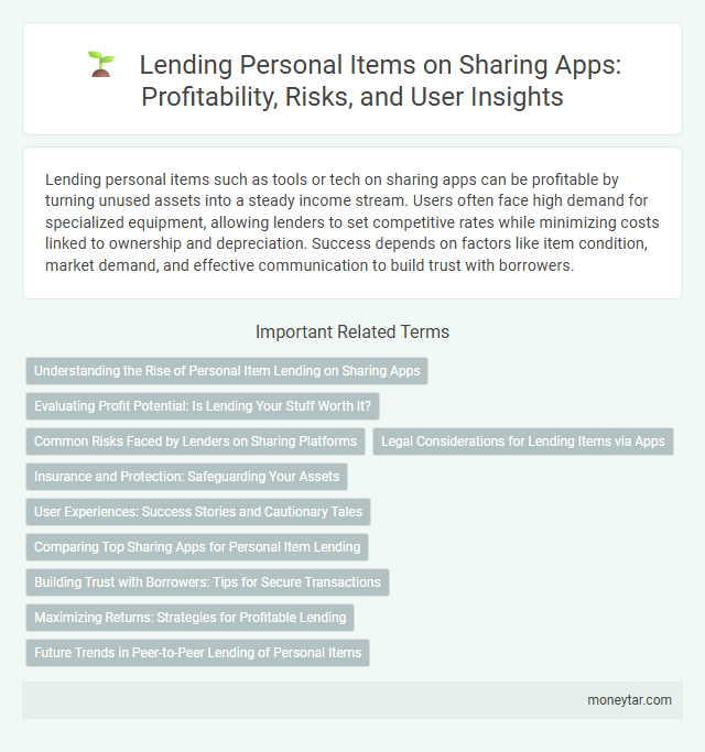 Lending Personal Items on Sharing Apps: Profitability, Risks, and User Insights