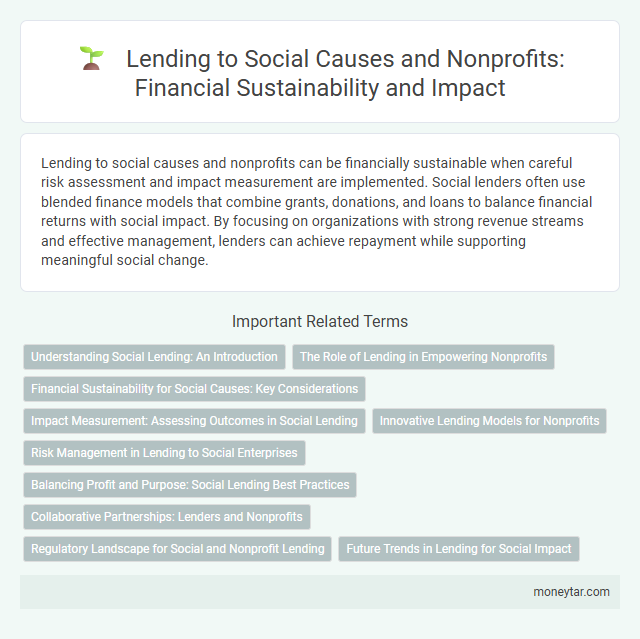 Lending to Social Causes and Nonprofits: Financial Sustainability and Impact