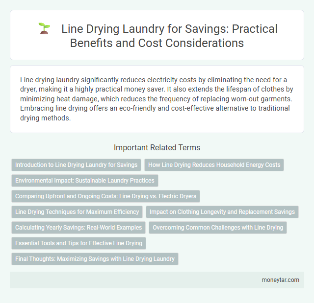 Line Drying Laundry for Savings: Practical Benefits and Cost Considerations