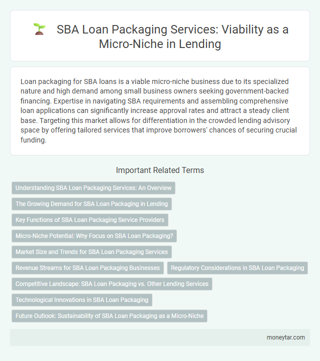 SBA Loan Packaging Services: Viability as a Micro-Niche in Lending