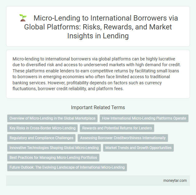 Micro-Lending to International Borrowers via Global Platforms: Risks, Rewards, and Market Insights in Lending