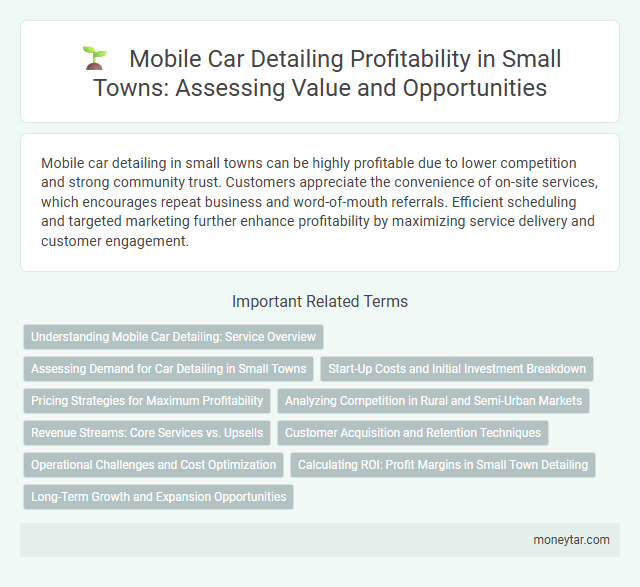 Mobile Car Detailing Profitability in Small Towns: Assessing Value and Opportunities