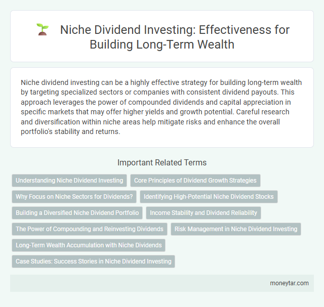 Niche Dividend Investing: Effectiveness for Building Long-Term Wealth