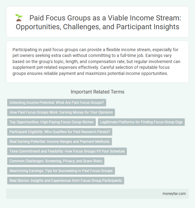 Paid Focus Groups as a Viable Income Stream: Opportunities, Challenges, and Participant Insights