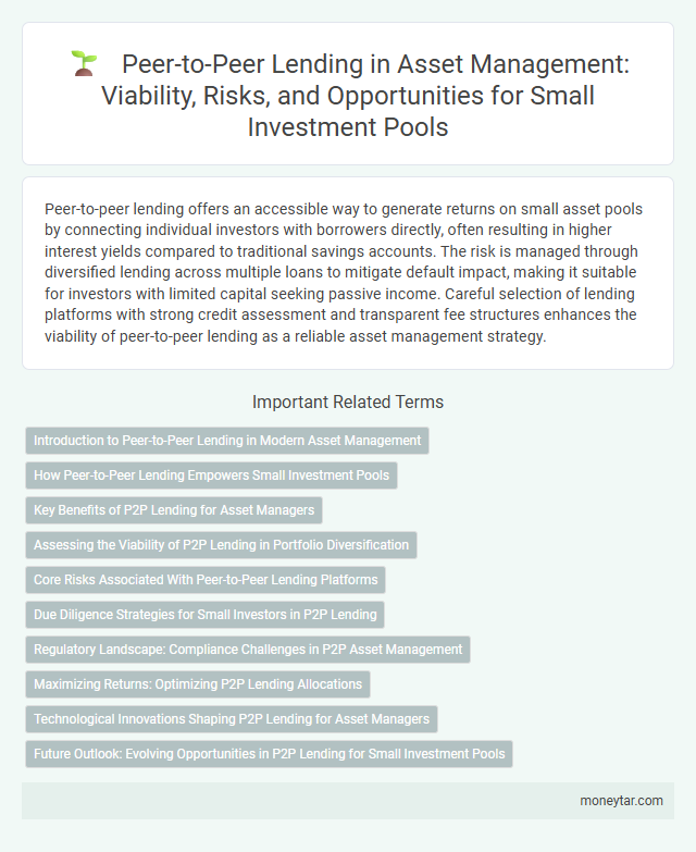 Peer-to-Peer Lending in Asset Management: Viability, Risks, and Opportunities for Small Investment Pools