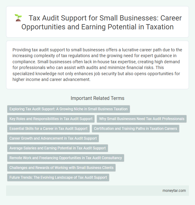 Tax Audit Support for Small Businesses: Career Opportunities and Earning Potential in Taxation