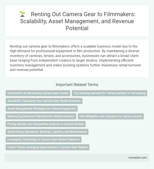 Renting Out Camera Gear to Filmmakers: Scalability, Asset Management, and Revenue Potential