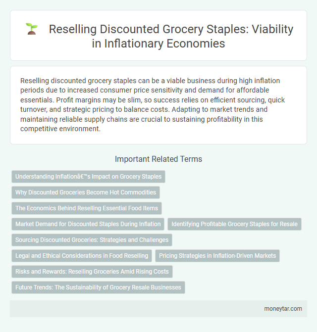 Reselling Discounted Grocery Staples: Viability in Inflationary Economies