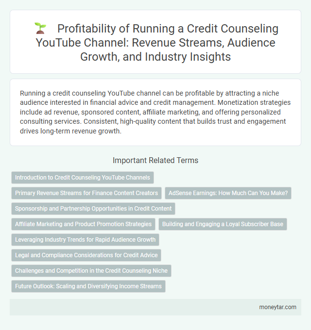 Profitability of Running a Credit Counseling YouTube Channel: Revenue Streams, Audience Growth, and Industry Insights