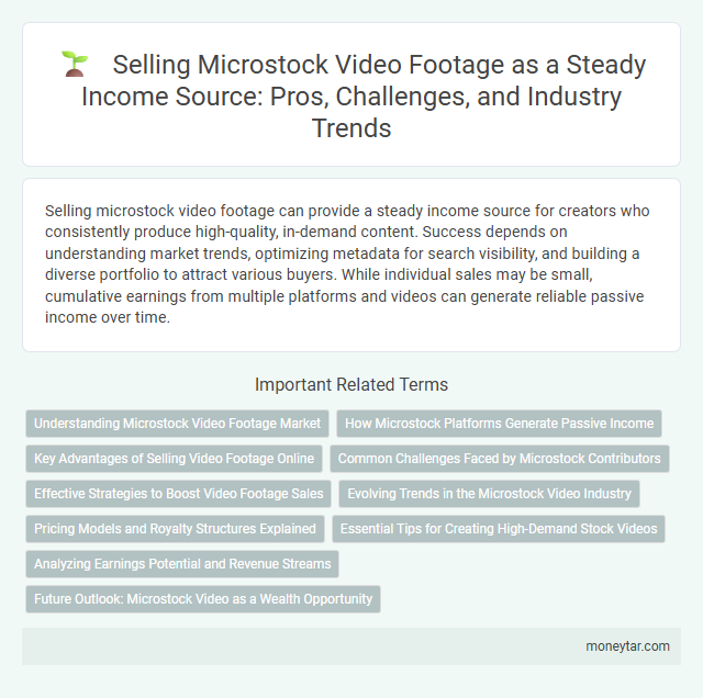 Selling Microstock Video Footage as a Steady Income Source: Pros, Challenges, and Industry Trends