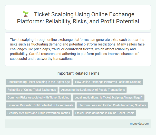 Ticket Scalping Using Online Exchange Platforms: Reliability, Risks, and Profit Potential