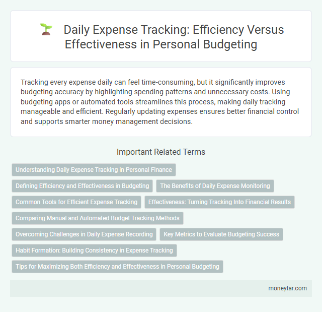 Daily Expense Tracking: Efficiency Versus Effectiveness in Personal Budgeting