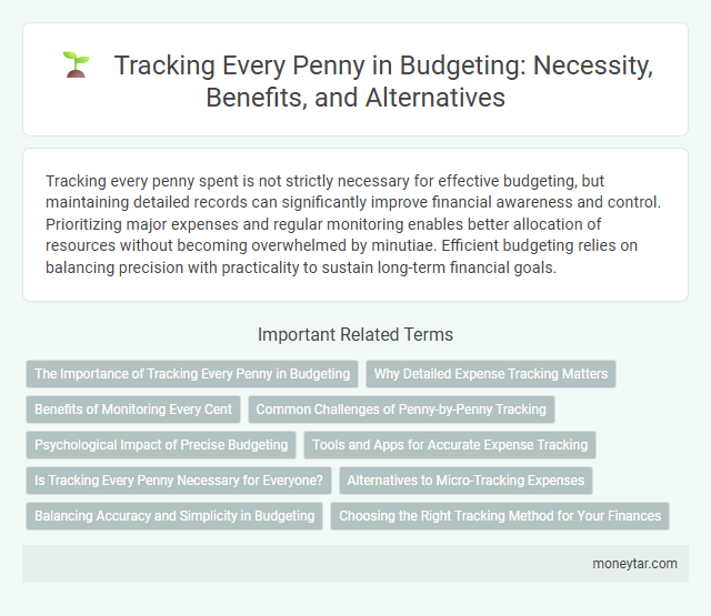 Tracking Every Penny in Budgeting: Necessity, Benefits, and Alternatives