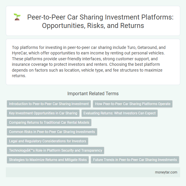 Peer-to-Peer Car Sharing Investment Platforms: Opportunities, Risks, and Returns
