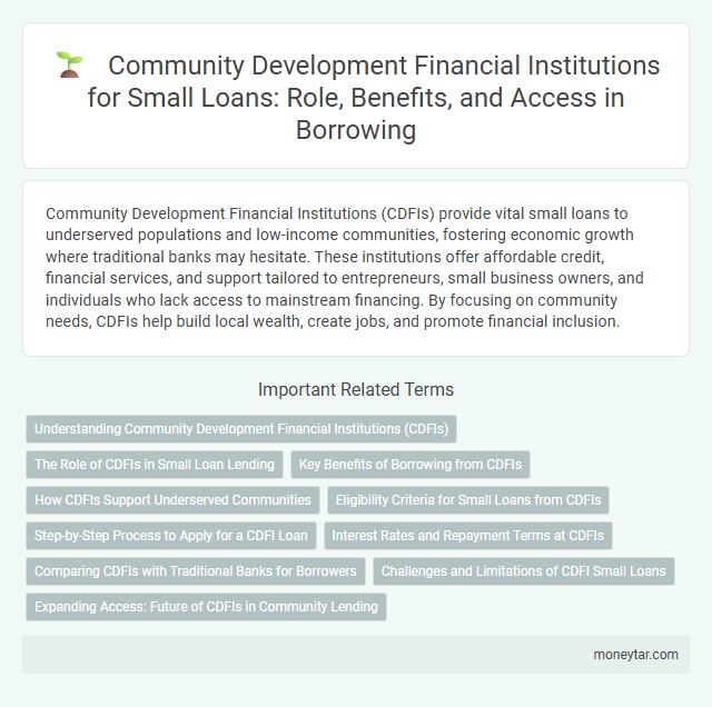 Community Development Financial Institutions for Small Loans: Role, Benefits, and Access in Borrowing