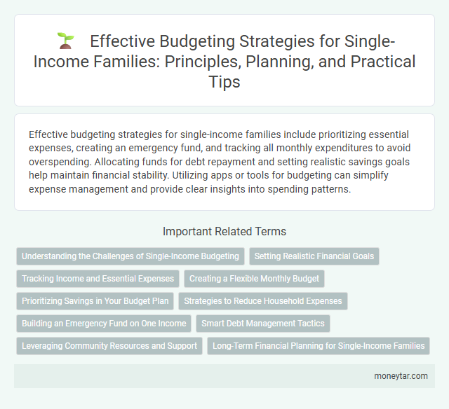 Effective Budgeting Strategies for Single-Income Families: Principles, Planning, and Practical Tips