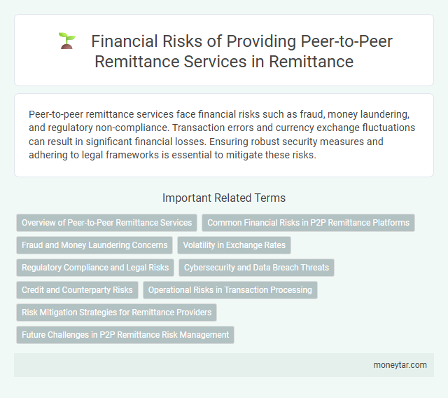 Financial Risks of Providing Peer-to-Peer Remittance Services in Remittance