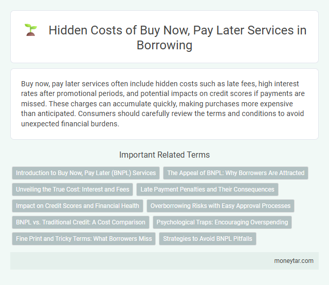 Hidden Costs of Buy Now, Pay Later Services in Borrowing