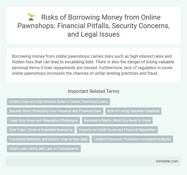 Risks of Borrowing Money from Online Pawnshops: Financial Pitfalls, Security Concerns, and Legal Issues