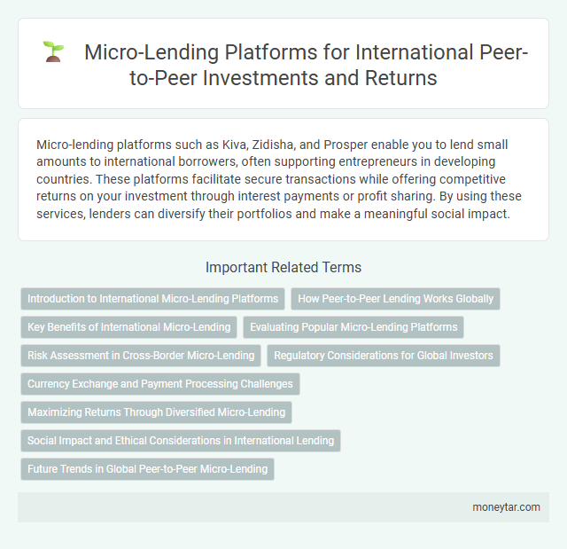 Micro-Lending Platforms for International Peer-to-Peer Investments and Returns