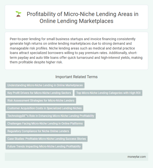 Profitability of Micro-Niche Lending Areas in Online Lending Marketplaces