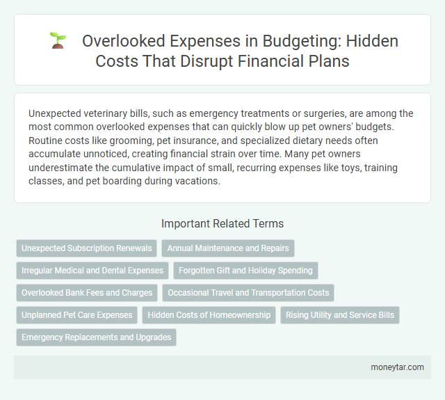 Overlooked Expenses in Budgeting: Hidden Costs That Disrupt Financial Plans