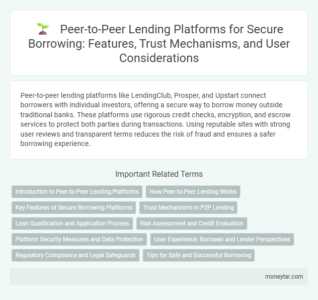 Peer-to-Peer Lending Platforms for Secure Borrowing: Features, Trust Mechanisms, and User Considerations