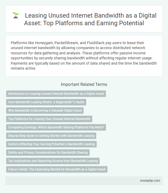 Leasing Unused Internet Bandwidth as a Digital Asset: Top Platforms and Earning Potential