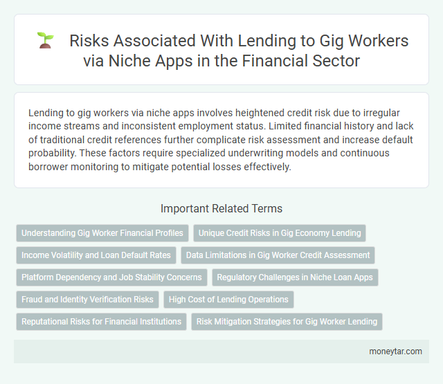 Risks Associated With Lending to Gig Workers via Niche Apps in the Financial Sector
