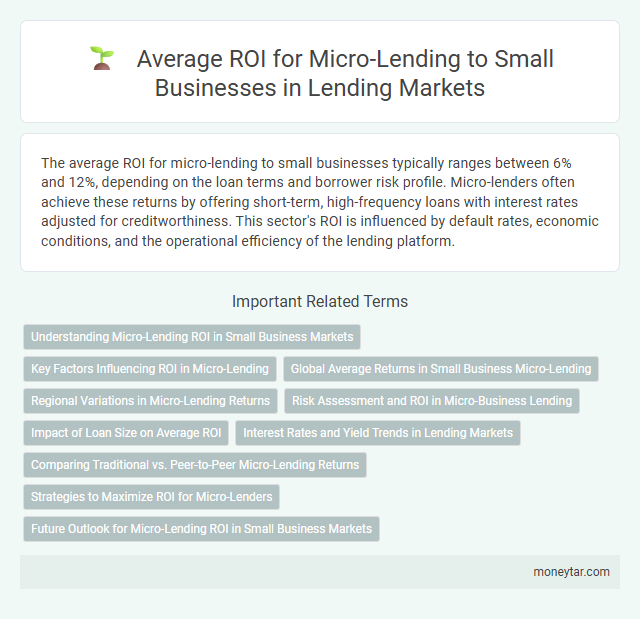 Average ROI for Micro-Lending to Small Businesses in Lending Markets