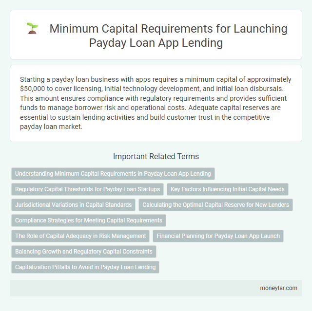 Minimum Capital Requirements for Launching Payday Loan App Lending