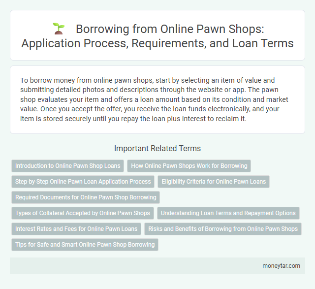 Borrowing from Online Pawn Shops: Application Process, Requirements, and Loan Terms