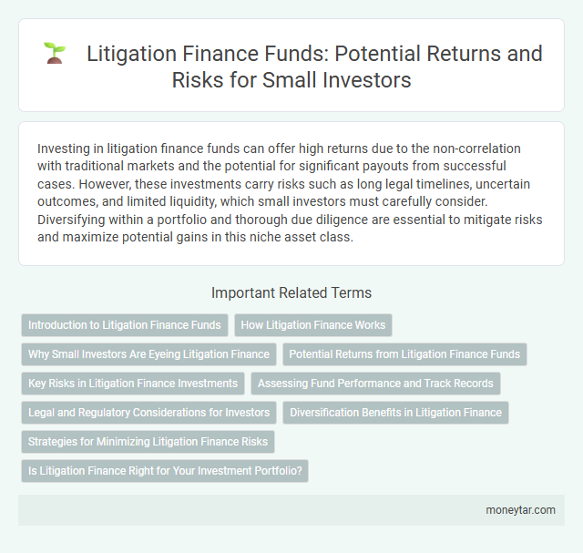 Litigation Finance Funds: Potential Returns and Risks for Small Investors