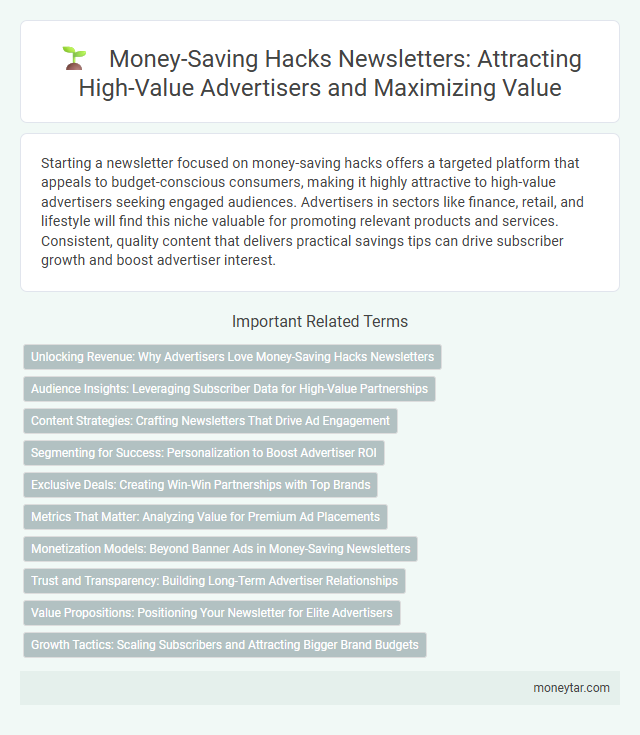 Money-Saving Hacks Newsletters: Attracting High-Value Advertisers and Maximizing Value