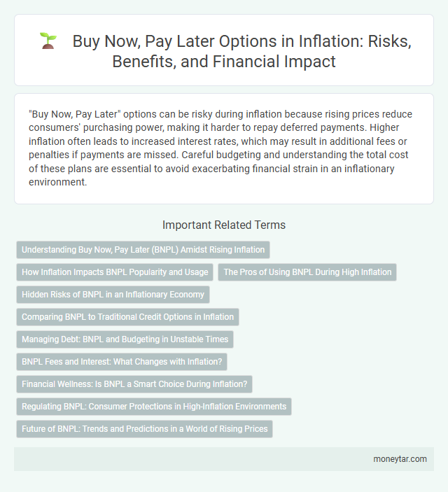 Buy Now, Pay Later Options in Inflation: Risks, Benefits, and Financial Impact