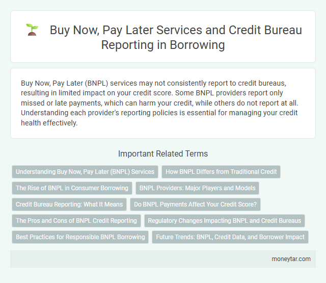 Buy Now, Pay Later Services and Credit Bureau Reporting in Borrowing