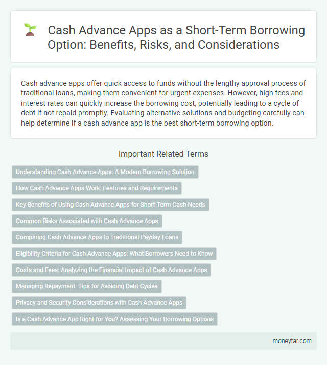 Cash Advance Apps as a Short-Term Borrowing Option: Benefits, Risks, and Considerations