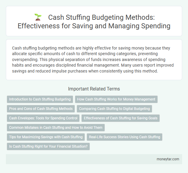 Cash Stuffing Budgeting Methods: Effectiveness for Saving and Managing Spending