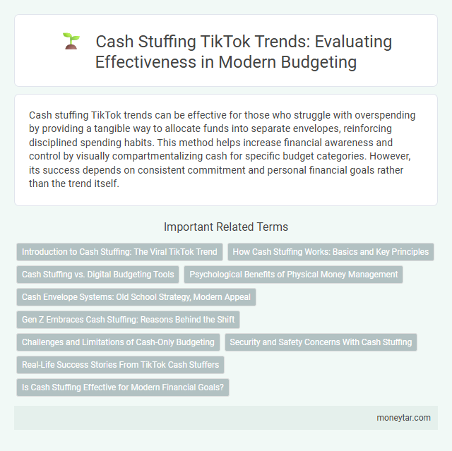 Cash Stuffing TikTok Trends: Evaluating Effectiveness in Modern Budgeting