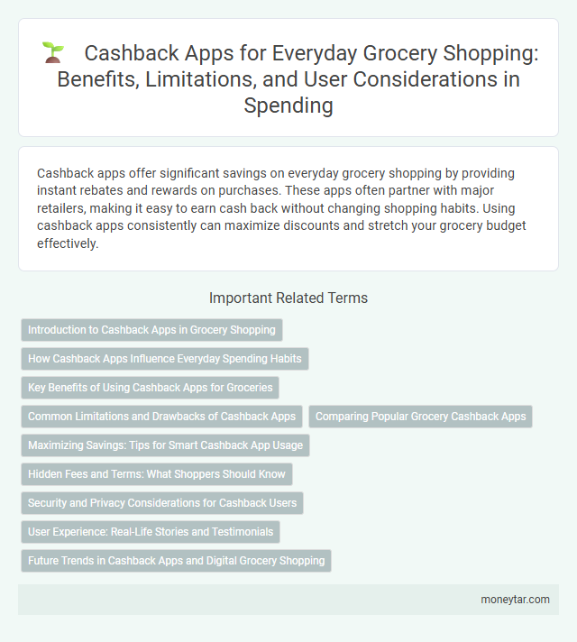 Cashback Apps for Everyday Grocery Shopping: Benefits, Limitations, and User Considerations in Spending