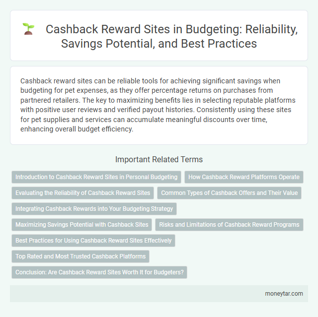 Cashback Reward Sites in Budgeting: Reliability, Savings Potential, and Best Practices